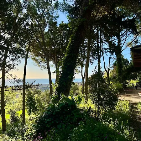 Beautiful Loft Between The Sea And The Woods *