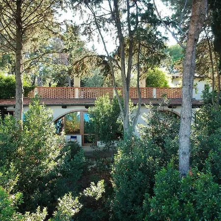 Σπίτι διακοπών Beautiful Loft Between The Sea And The Woods *