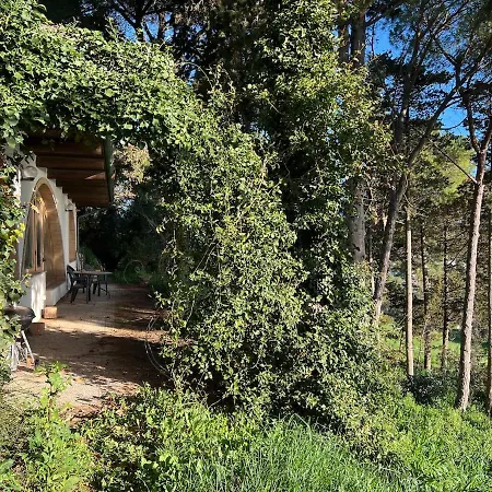 Σπίτι διακοπών Beautiful Loft Between The Sea And The Woods Marcelli